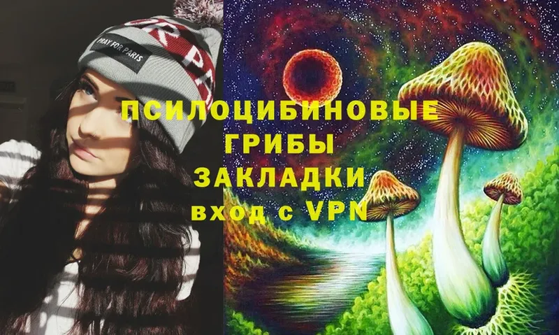 Галлюциногенные грибы Psilocybe  магазин    Артёмовск 